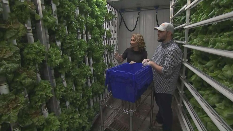 PHOTO: Michael Boardman is the owner of Natural Grocers in Lakewood, Colorado.