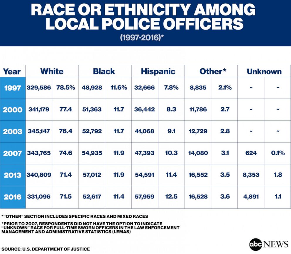 PHOTO: Race or ethnicity among local police officers