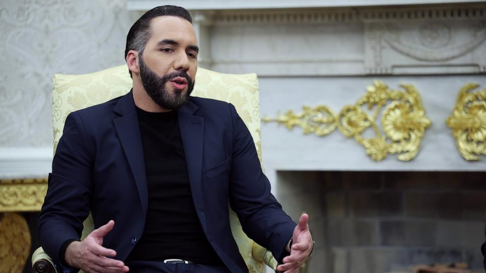 PHOTO: President Nayib Bukele of El Salvador meets with President Donald Trump in the Oval Office of the White House, April 14, 2025 in Washington.