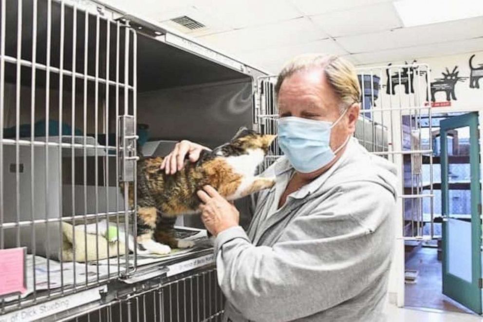 PHOTO: A pet cat who was thought to have died along with her owner in the massive Southern California mudslides in January 2018 that killed 23 people has been miraculously found three years later less than a quarter of a mile away from her home.