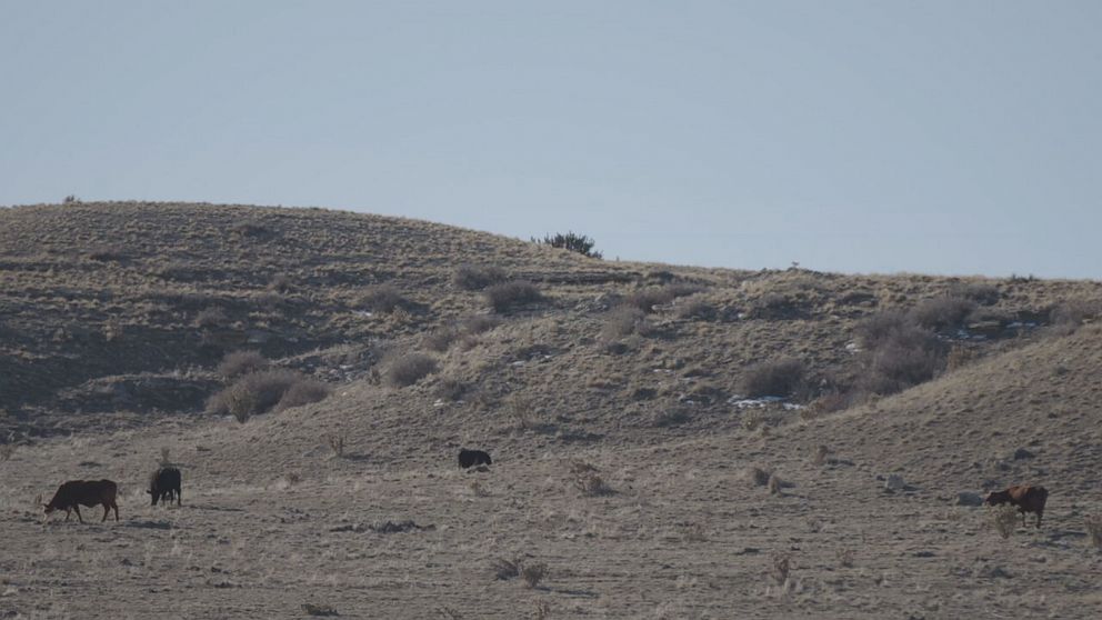 PHOTO: The Pueblo landfill said there was evidence of a car at the dump and Lucas' cell phone data suggest he could have been there the night of Feb. 4, 2013.