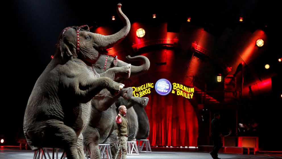 PHOTO: Elephants perform during Ringling Bros and Barnum & Bailey Circus' "Circus Extreme" show at the Mohegan Sun Arena at Casey Plaza in Wilkes-Barre, Pennsylvania, April 30, 2016.  