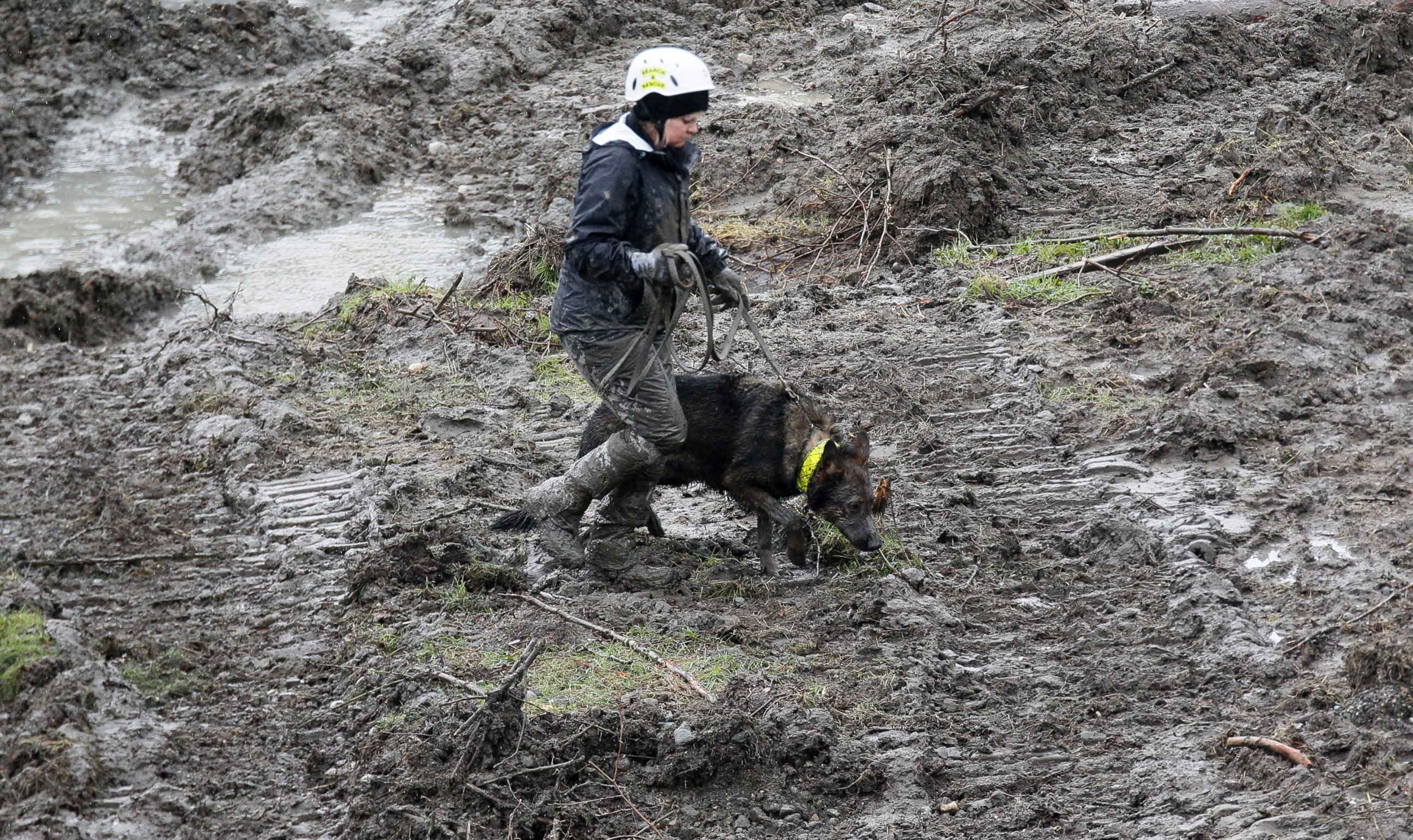 PHOTO: A rescue worker searches for victims of a mudslide with a rescue dog in Oso, Wash., March 30, 2014.