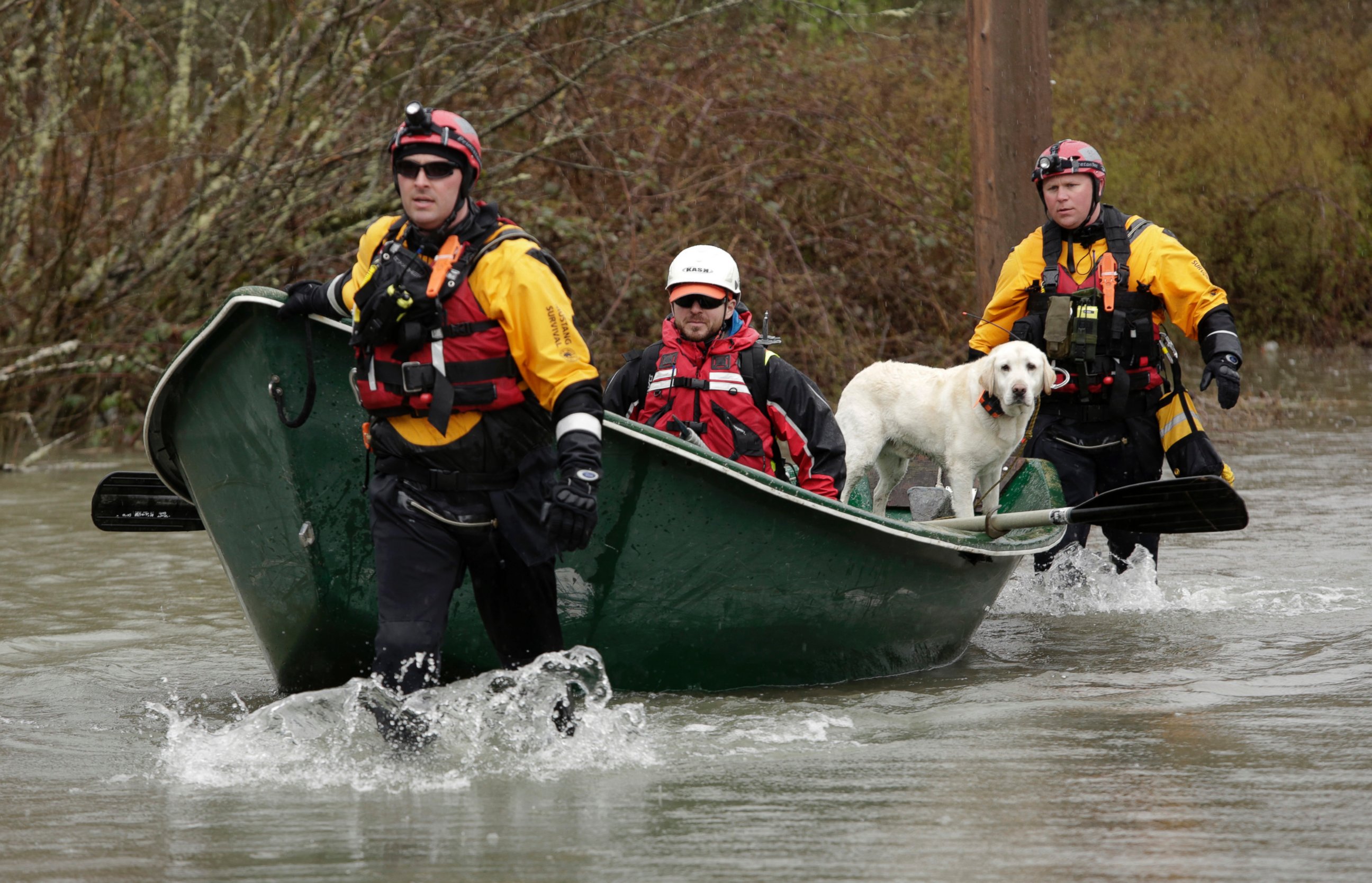 PHOTO: Workers and a search dog head into floodwaters on Highway 530 as search work continues in the mud and debris from a massive landslide that struck Oso near Darrington, Washington March 29, 2014.