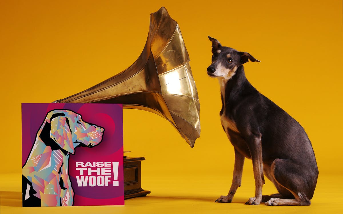 PHOTO: The track – Raise the Woof! - was released on Nov. 18, 2020 and created based on scientific research and input from vets & animal behaviorists to make dogs feel happy and content, according to Tails.com.