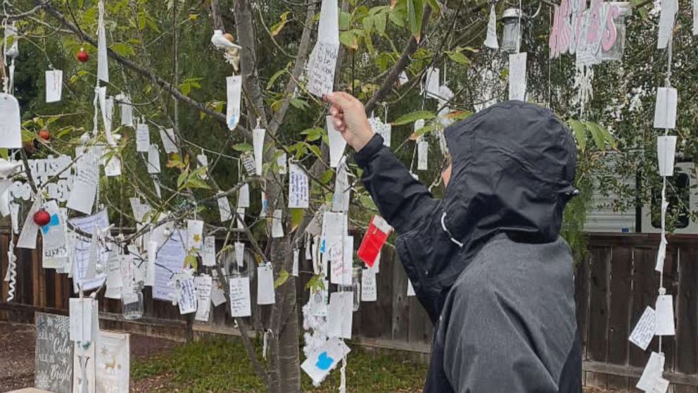 California 'wishing tree' decorated with handwritten messages of gratitude