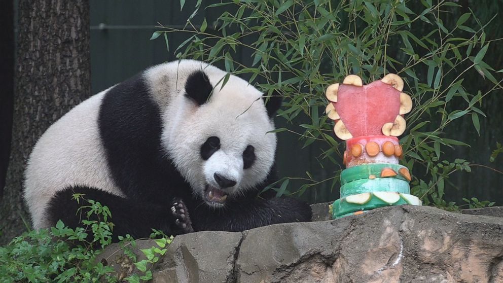 The National Zoo is throwing a sendoff party for its pandas