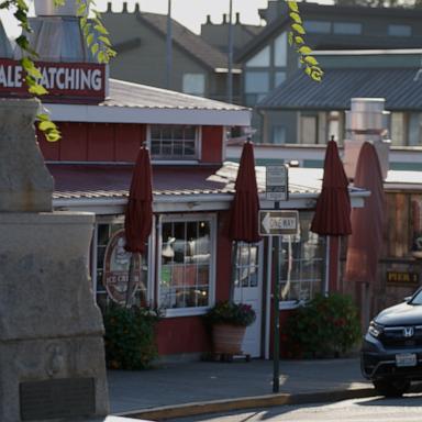 The town of Friday Harbor in Washington depends on wildlife viewing tourism