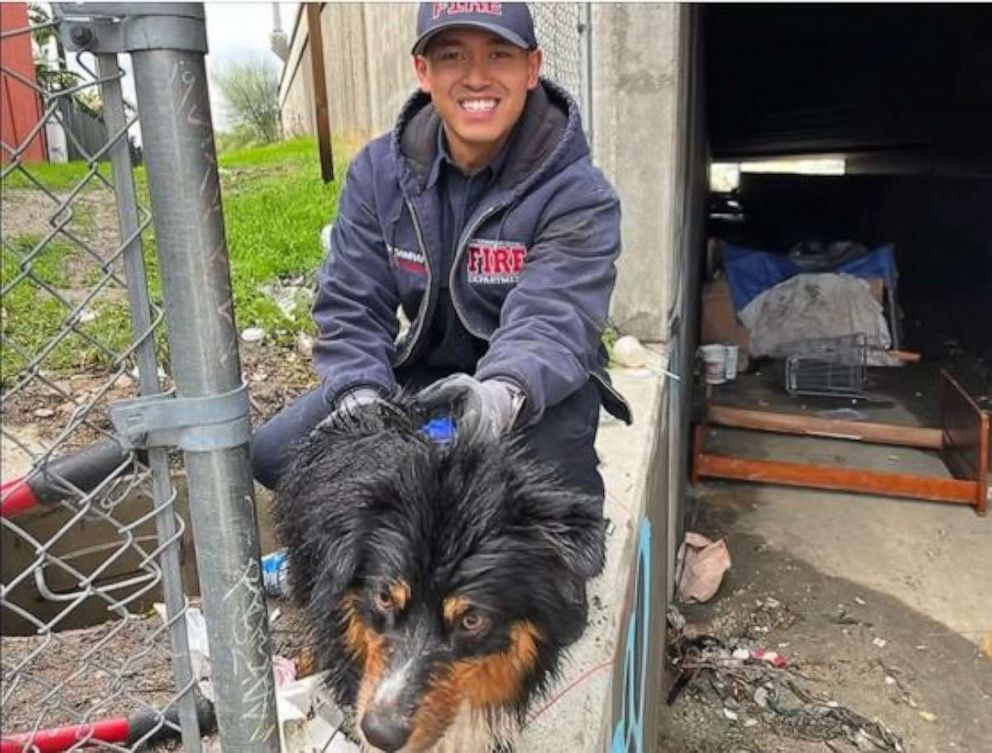 PHOTO: An Australian Shepherd named Seamus is lucky to be alive after he was swept away by floodwaters in San Bernardino, California, only to be reunited with his owner hours later thanks an Apple AirTag that helped locate him on Monday, Jan. 16, 2023.