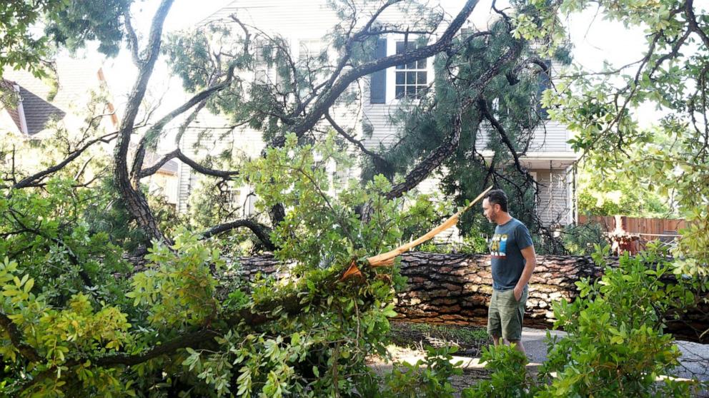 Months after storm devastated Shreveport, Louisiana, planting the seeds ...