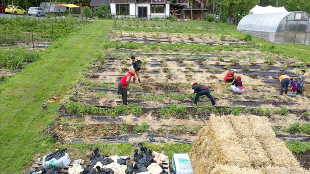 PHOTO: People work on the land at Soul Fire Farm in Petersburg, New York. 