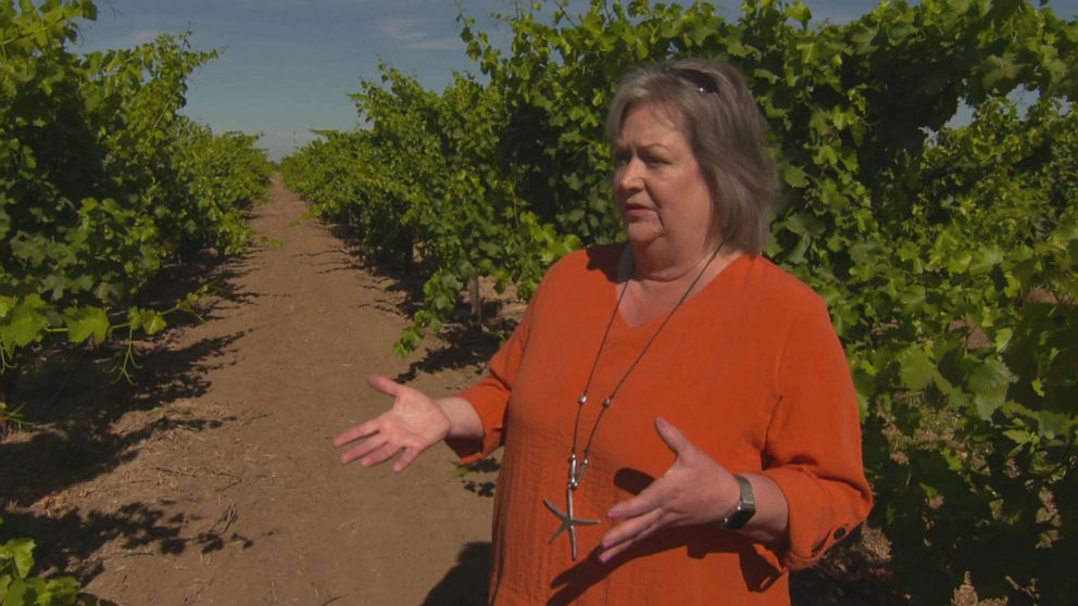 PHOTO: Susan Tipton, winemaker and owner of Acquiesce Winery, has been taking measures to keep her business running after her harvest dropped by 25% last season. 