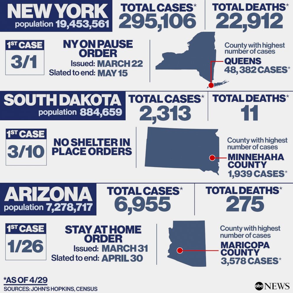 Comparing New York, South Dakota and Arizona COVID-19 cases