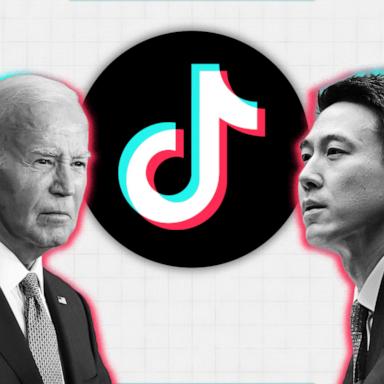 Is it rational for the U.S. government to force the sale of TikTok from its Chinese parent company, ByteDance, over national security concerns?