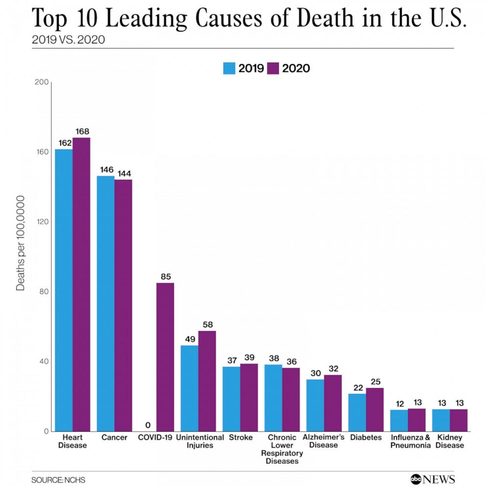 Top 10 Leading Causes of Death in the U.S.