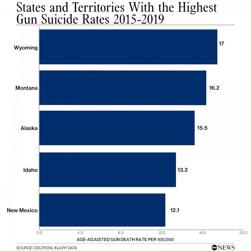 America has a gun violence problem. What do we do about it ABC News