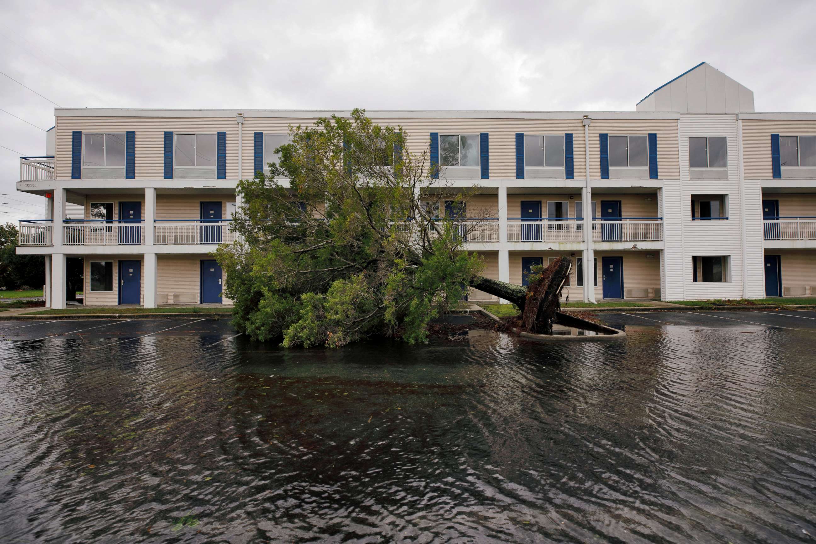 FILE PHOTO: A fallen tree and flood waters sit in a hotel parking lot after Hurricane Dorian swept through, in Wilmington, North Carolina, U.S., September 6, 2019.  REUTERS/Jonathan Drake/File Photo