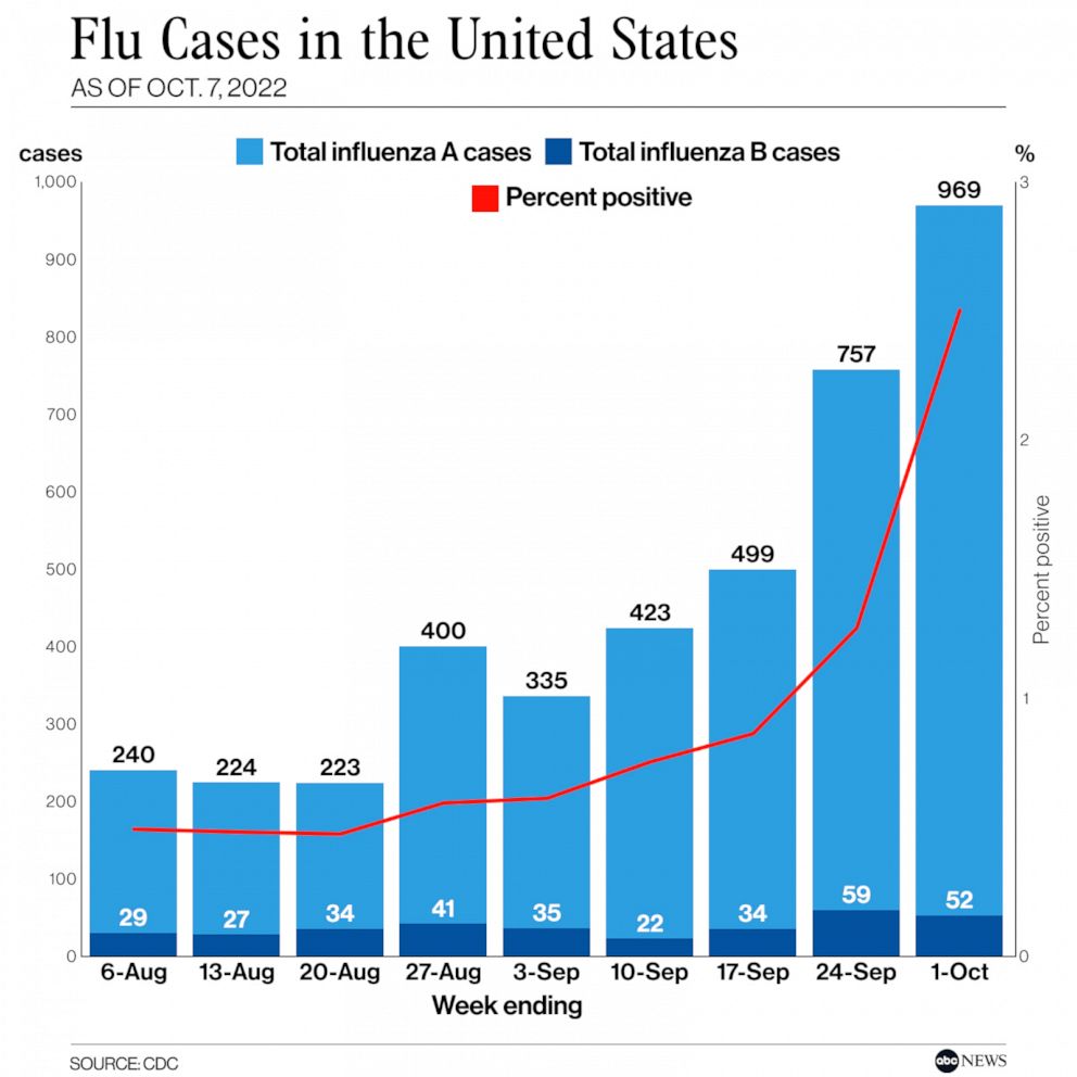 PHOTO: Flu Cases in the United States