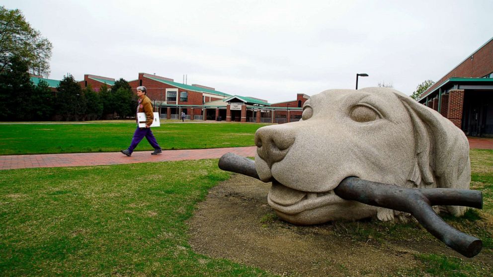 PHOTO: FILE - In this March 24, 2020 file photo, a woman walks past a dog sculpture on the campus of the North Carolina State University College of Veterinary Medicine in Raleigh, N.C. 