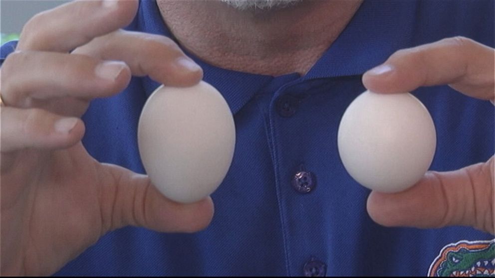 PHOTO: Steve Holloway first thought the carton of eggs he bought at a Florida supermarket contained a golf ball.
