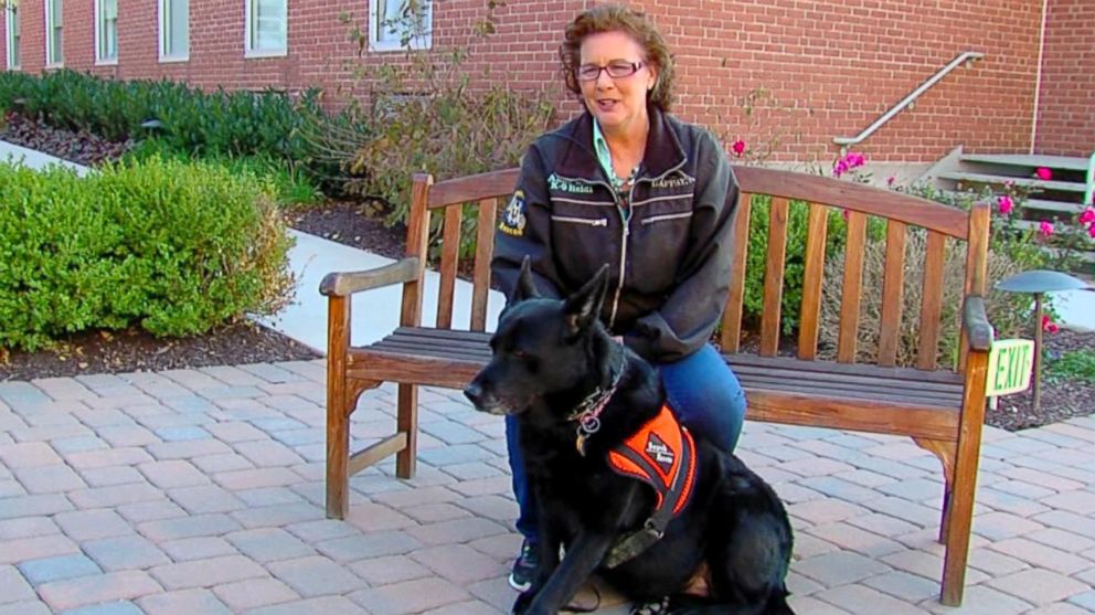 VIDEO: Anne Wills and her oncologist believe her Shepherd-Lab mix detected her lung cancer early enough to possibly save her life.