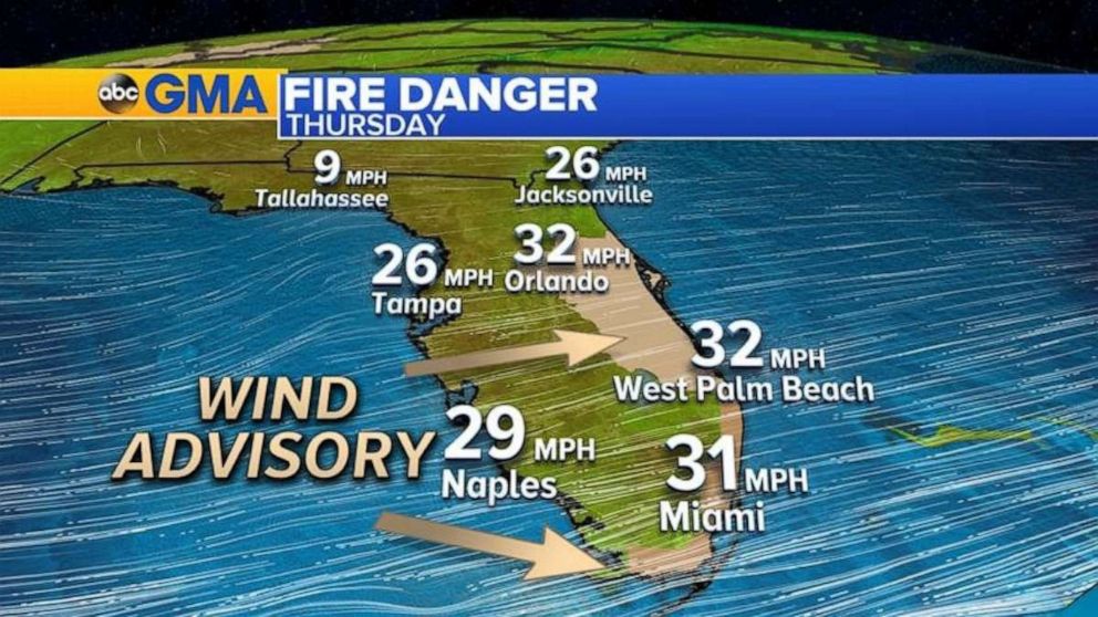 PHOTO: Wind gusts up to 30 mph and temperatures in the 90s helped spread a wildfire east of Naples, Florida, Thursday, which prompted mandatory evacuations in the area.