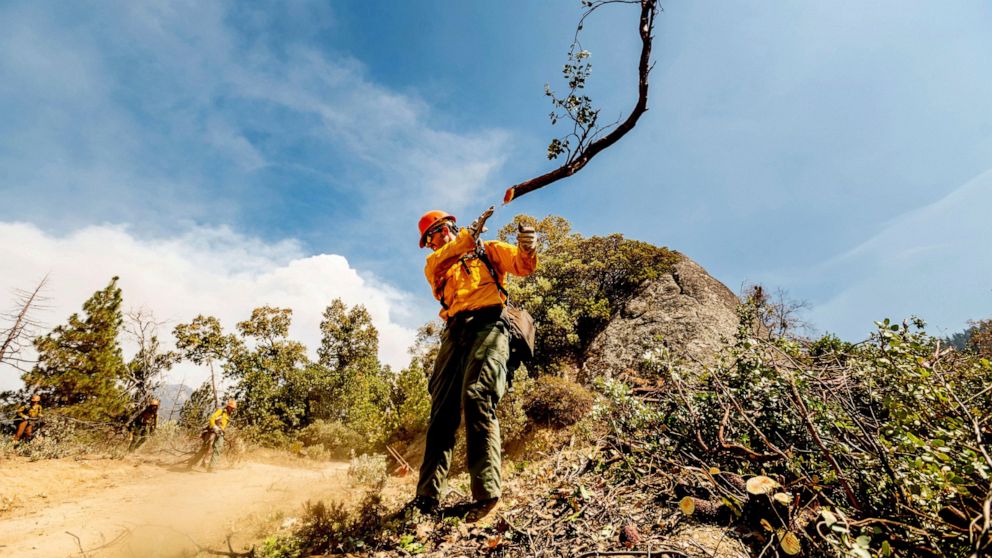  Fire crews struggling to save California giant sequoias