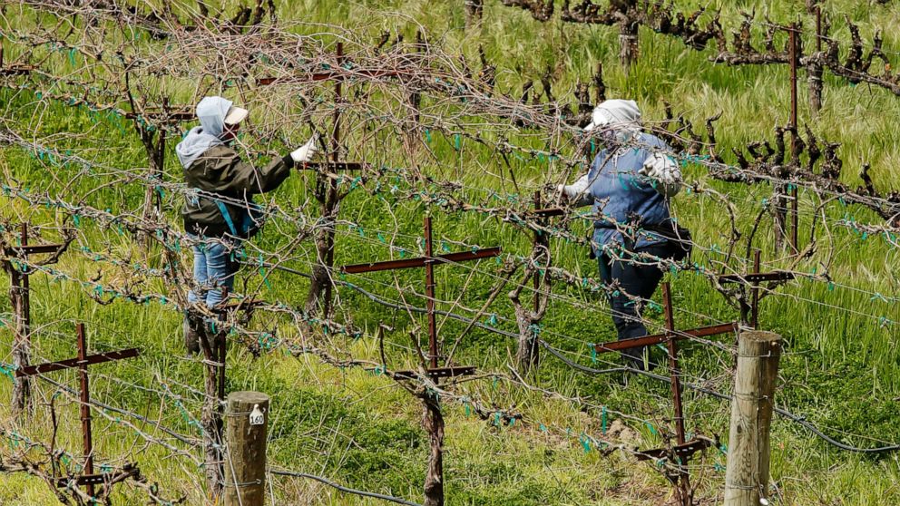  EXPLAINER: California farmers hit again with water cuts