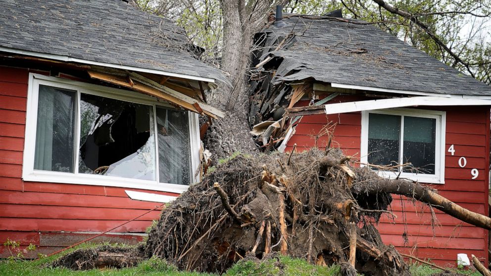 A tree toppled by high winds from an overnight thunderstorm smashed into a house, splitting it in two Thursday, May 12, 2022 in Coon Rapids, Minn. Severe weather brought a mix of hail, tornadoes and heavy rain to Minnesota, causing widespread power o