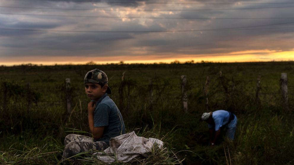 FILE - Jaro and his father Andres collect grass for their horse as the sun sets in La Coloma, in Pinar del Rio province, Cuba, Wednesday, Oct. 5, 2022, one week after Hurricane Ian. The United States said Tuesday, Oct. 18, that it has offered critica