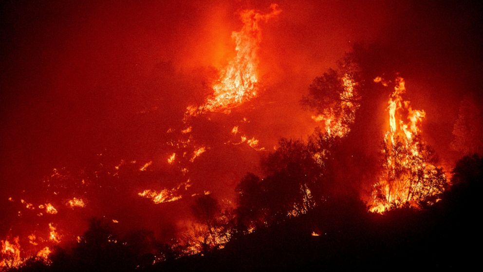  4 people hurt by tree in wildfire released from hospital