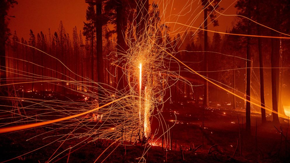 FILE - In this Tuesday, Aug. 17, 2021, file photo, in a long time exposure photo, embers fly from burning trees as the Caldor Fire growing on Mormom Emigrant Trail east of Sly Park, Calif. California has already surpassed the acreage burned at this p