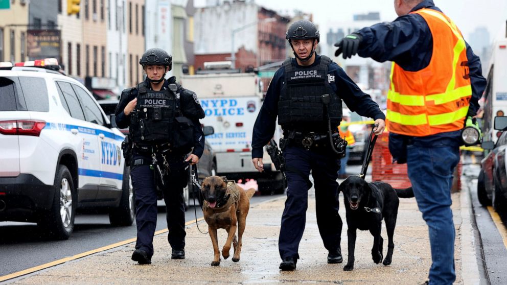Officers with bomb-sniffing dogs look over the area after a shooting on a subway train Tuesday, April. 12, 2022, in the Brooklyn borough of New York. Multiple people were shot and injured Tuesday at a subway station in New York City during a morning 