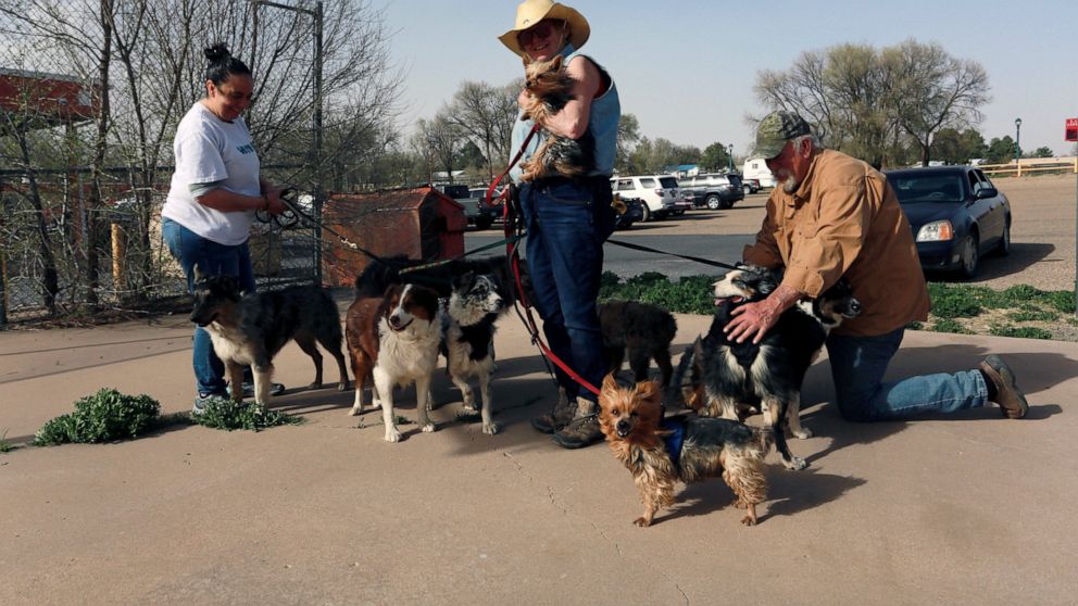 Maria Elena Valdez, left, a volunteer at a fire evacuation shelter in northeast New Mexico, helps Maggie Mulligan, center, and Brad Gombas walk and water nine of their dogs outside the shelter Friday, April 22, 2022, in Las Vegas, N.M. Mulligan and G