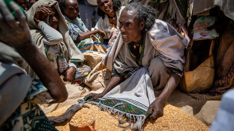 An Ethiopian woman argues with others over the allocation of yellow split peas after it was distributed by the Relief Society of Tigray in the town of Agula, in the Tigray region of northern Ethiopia, on Saturday, May 8, 2021. (AP Photo/Ben Curtis)