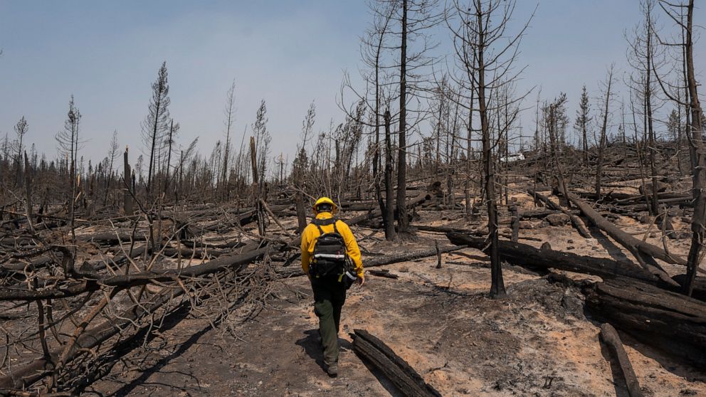 Los Incendios Forestales Que Azotan El Oeste Atraen A Los Estados A