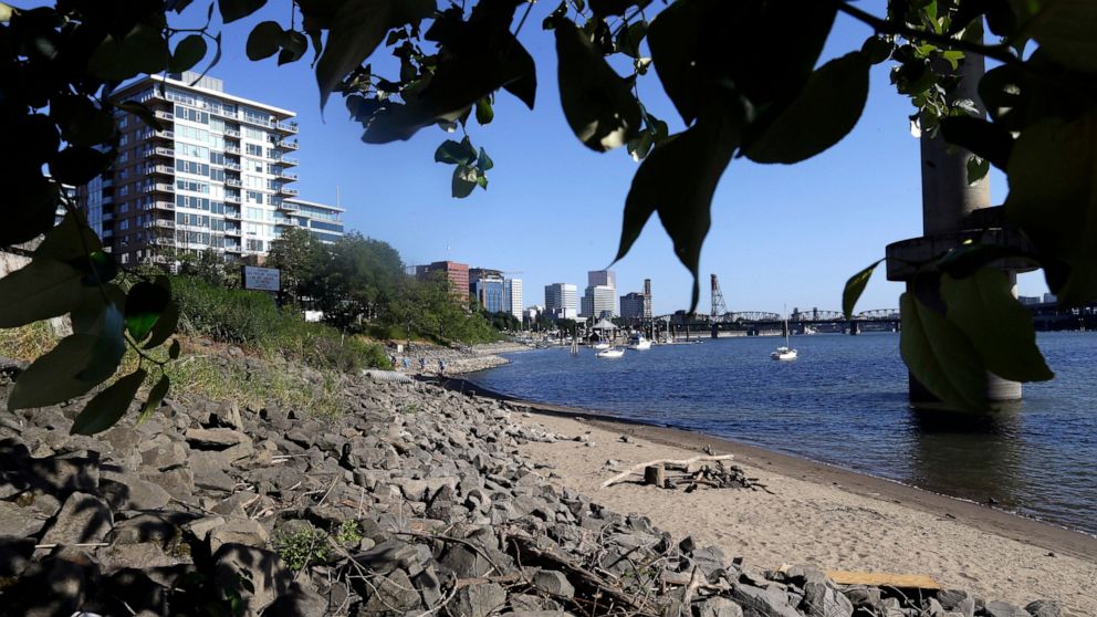 FILE - A section of newly formed beach is shown on the Willamette River in downtown Portland, Ore., on July 6, 2017. Monsanto has agreed to pay Oregon a lump sum of $698 million for its role in polluting the state with PCBs over a 90-year period unti