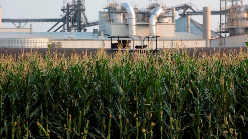 Project developers plan to build carbon capture pipelines connecting dozens of Midwestern ethanol refineries, such as this one in Chancellor, South Dakota, shown on Thursday, July 22, 2021. Corn absorbs the greenhouse gas carbon dioxide, but the proc