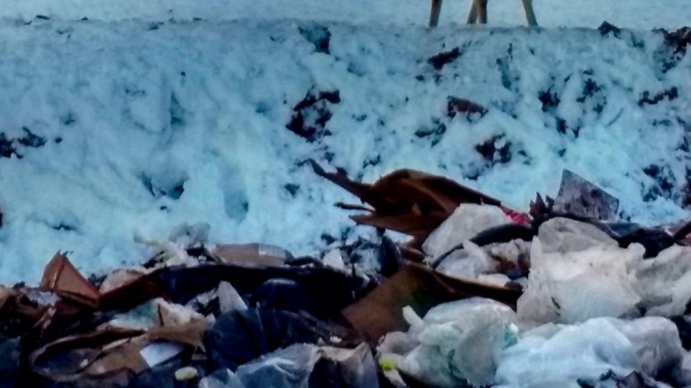 This undated photo provided by the Summit County Solid Waste Collection Office on Friday, May 24, 2019, shows deer near a landfill at the Three Mile Canyon Landfill in Coalville, Utah. The Division of Wildlife Resources says they are investigating th