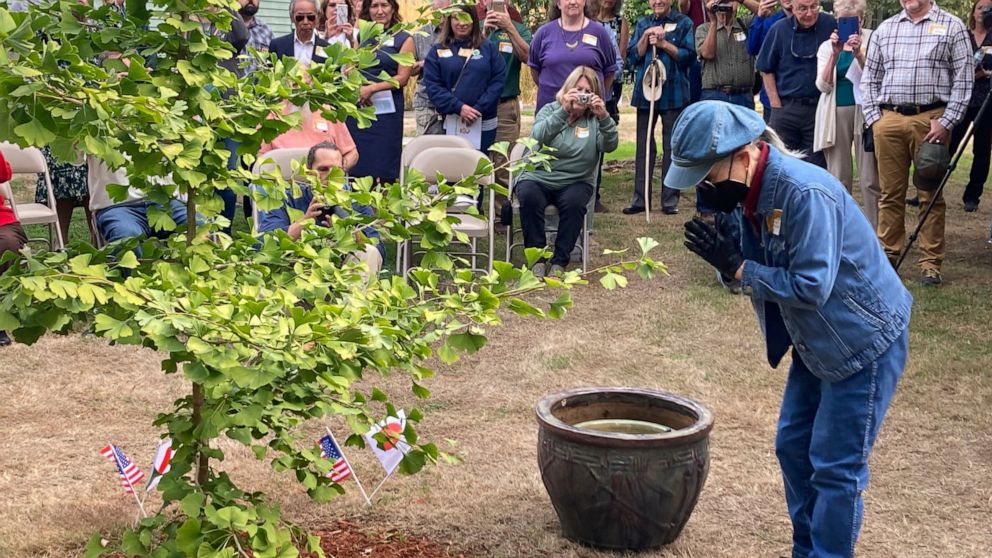  Hiroshima bombing recalled in Oregon peace trees campaign