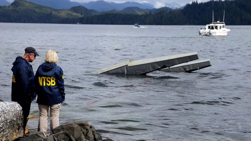  Pilot views obstructed, alerts missing in midair plane crash