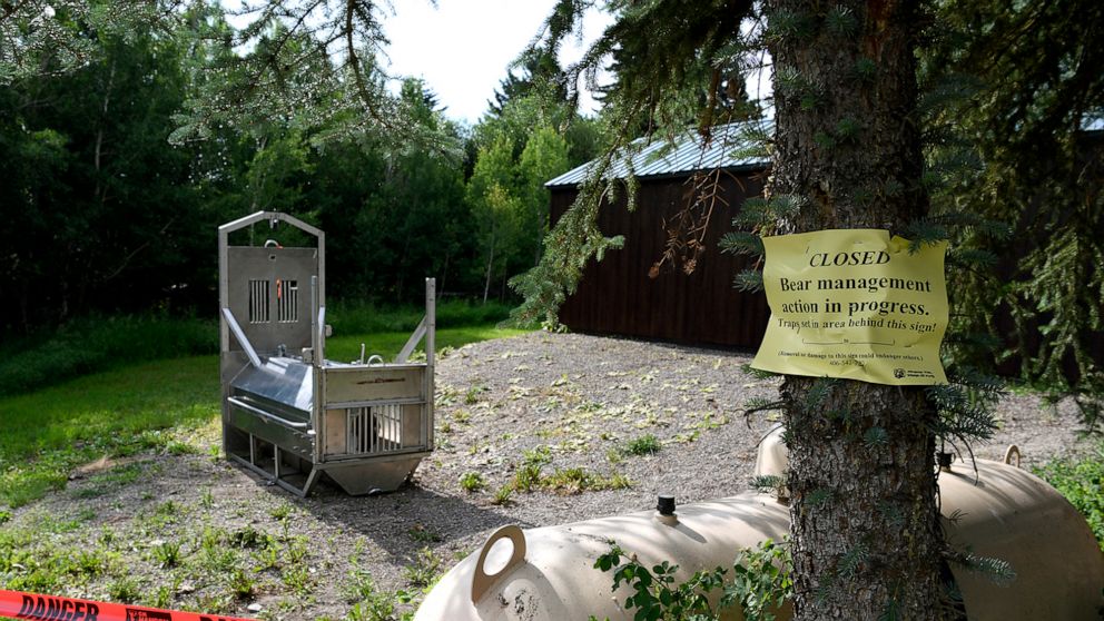 A bear trap set by Montana Fish, Wildlife and Parks sets Wednesday, July 7, 2021, in the camping area in Ovando, Mont., where bicycle tourist Leah Davis Lokan of Chico, California, was pulled out of her tent and killed by a grizzly bear early Tuesday
