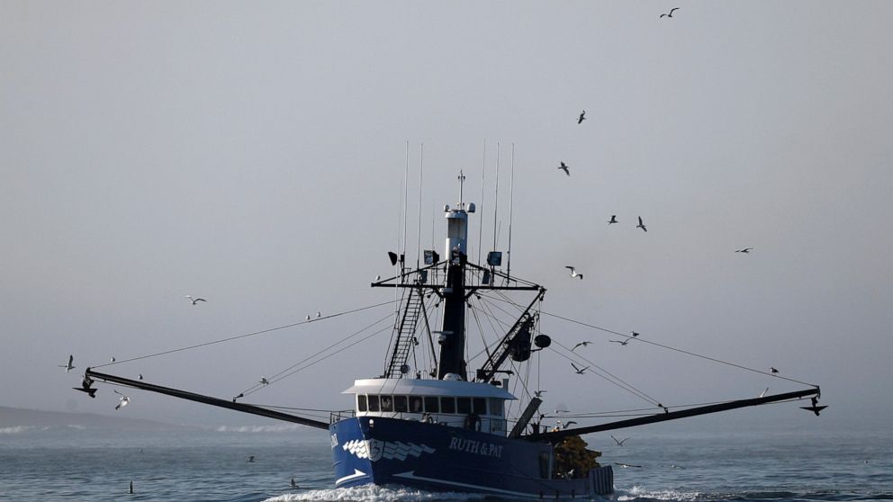 FILE - The Ruth & Pat, a herring seine boat, motors out of the fog, Friday, July 27, 2018, off the coast of South Portland, Maine. A group of fishing companies in New England is bringing its bid to try to end industry-funded monitoring programs to fe