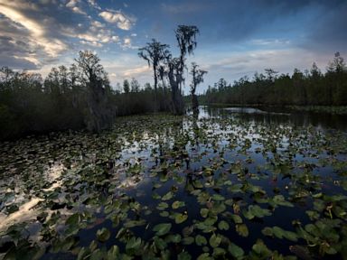 Company: Legal settlement puts Okefenokee mine back on track thumbnail
