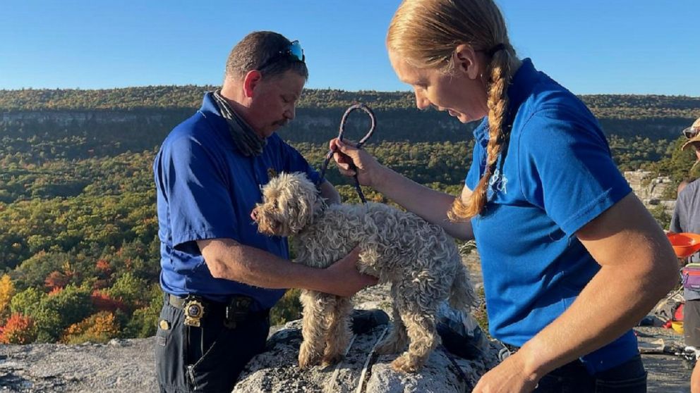 In this photo provided by New York State Parks on Wednesday, Oct. 13, 2021, Ulster County SPCA Executive Director Gina Carbonari, right, and SPCA Supervisor Chris West, left, check a rescued a 12-year-old dog named Liza, found trapped after five days