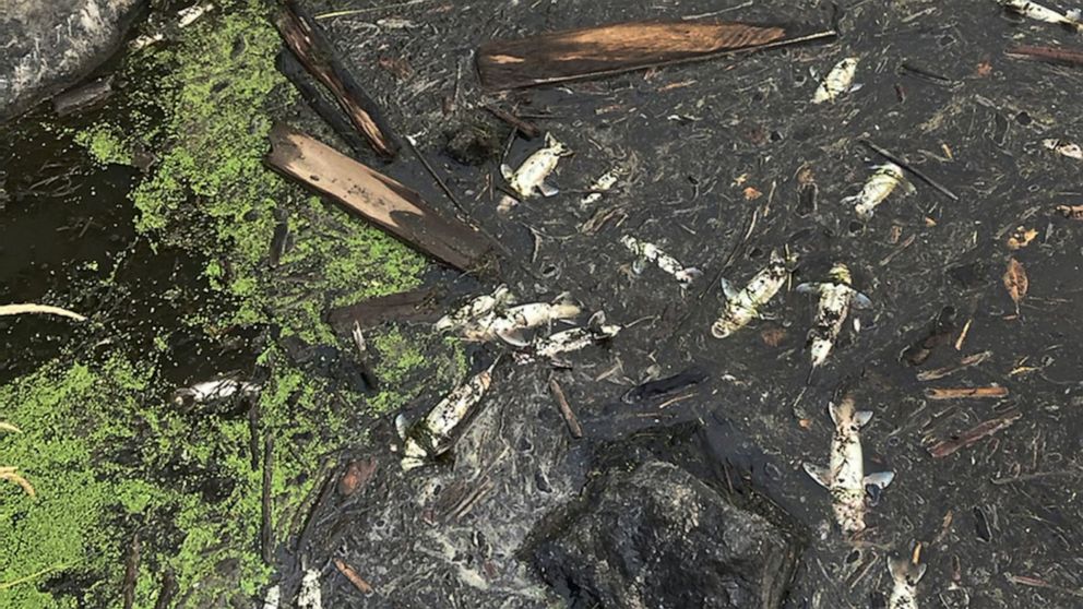 Tribu: un incendie de forêt en Californie près de l’Oregon provoque la mort de poissons