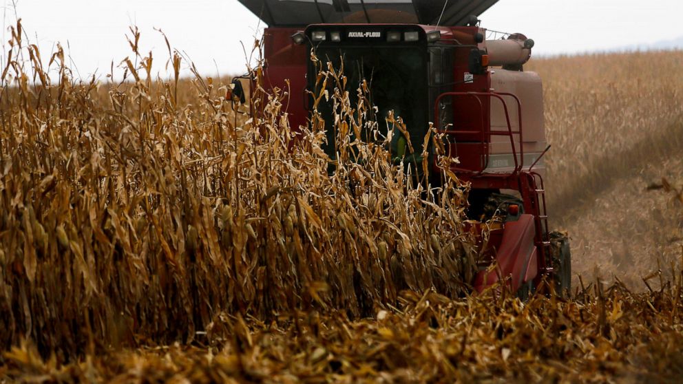 FILE - In this Dec. 4, 2017, file photo, a farmer harvests crops near Sinsinawa Mound in Wisconsin. A group of Midwestern farmers sued the federal government Thursday, April 29, 2021, alleging they can't participate in a COVID-19 loan forgiveness pro