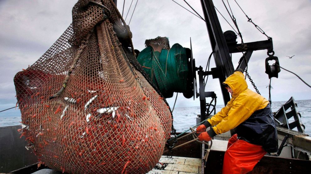  New England shrimp fishery to stay shuttered as waters warm