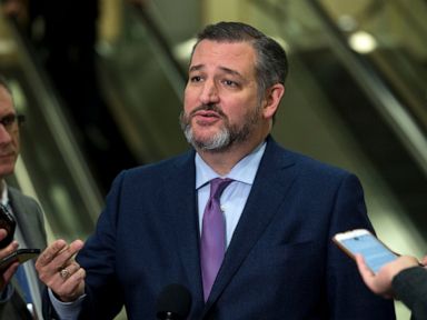 Sen. Ted Cruz writing book on Supreme Court cases