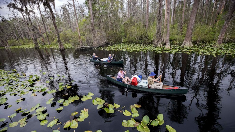 FILE - A group of visitors return to Stephen C. Foster State Park after an overnight camping trip on the Red Trail in the Okefenokee National Wildlife Refuge, April 6, 2022, in Fargo, Ga. Conservation groups filed suit Tuesday, Nov. 15, against a U.S